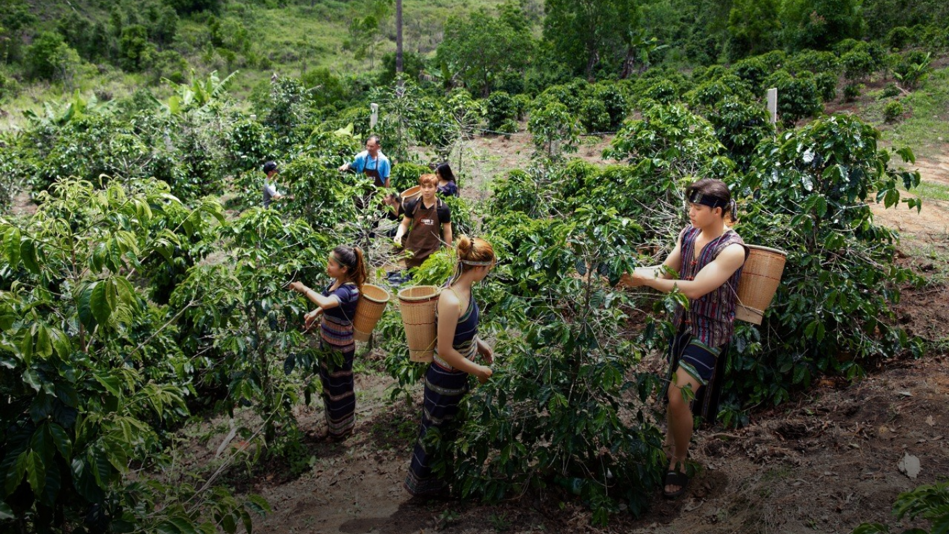 Banner trang tin tức